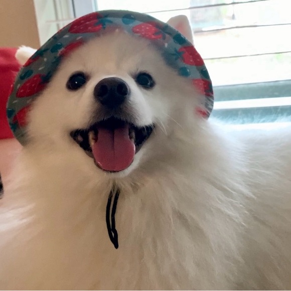 marshmallow143